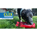 Clix Canvas Training Dummy (Large)